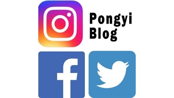 【ポンギーSNS】Instagram、Facebook、Twitterもやってます♪