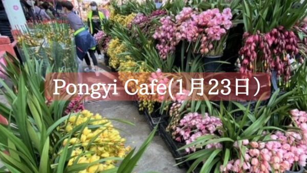 【1月23日ポンギーCafe】ブログ更新しました♪