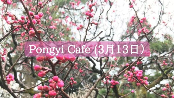 【3月13日ポンギーCafe】ブログ更新しました♪